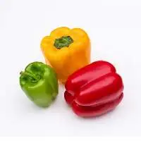 Bell Pepper