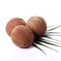 Tender King Coconut