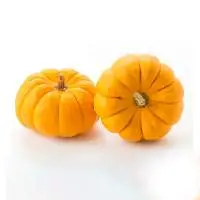 Pumpkin