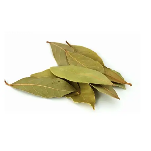 Bay Leaf