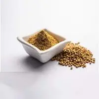 Fenugreek Seeds