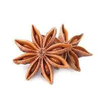 Star Anise