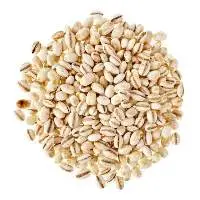 Barley Whole Wheat