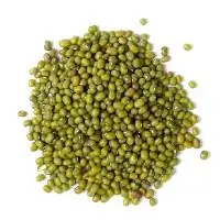 Green Lentils