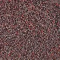 Black Mustard Seeds