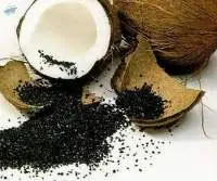 Coconut Shell Based Steam Activated Carbon