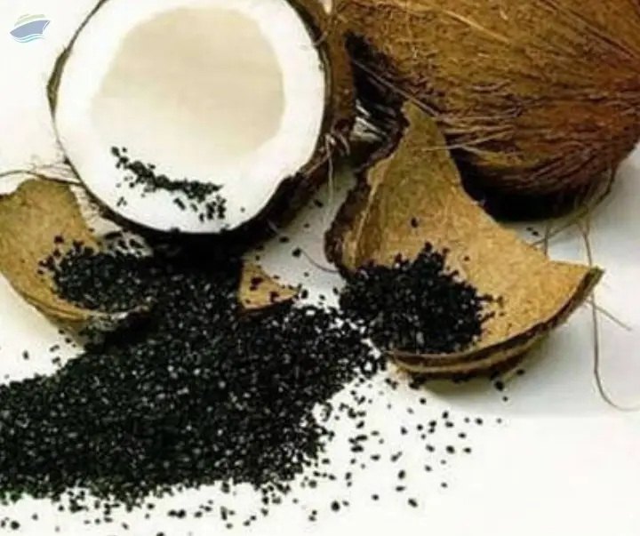Coconut Shell Based Steam Activated Carbon