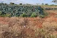 copper ore