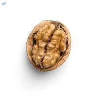 Walnuts In Shell