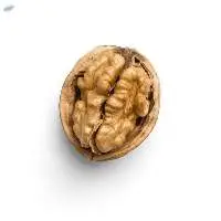 Walnuts In Shell