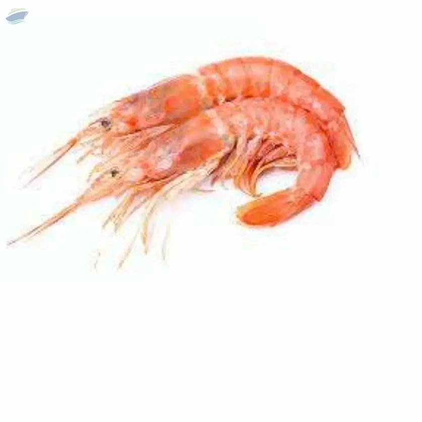 Pink Prawn