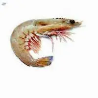 King Prawn