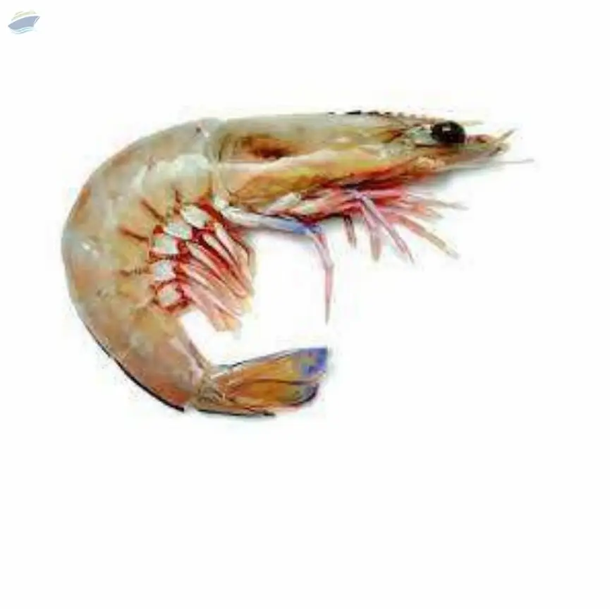 King Prawn
