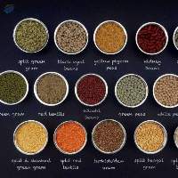 Indian Pulses