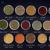 Indian Pulses
