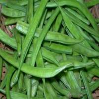 Green Cluster Beans