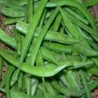 Green Cluster Beans