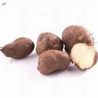 Chinese Potatoes/Koorka