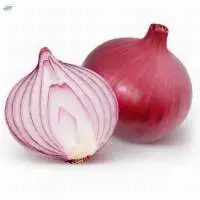 Onion