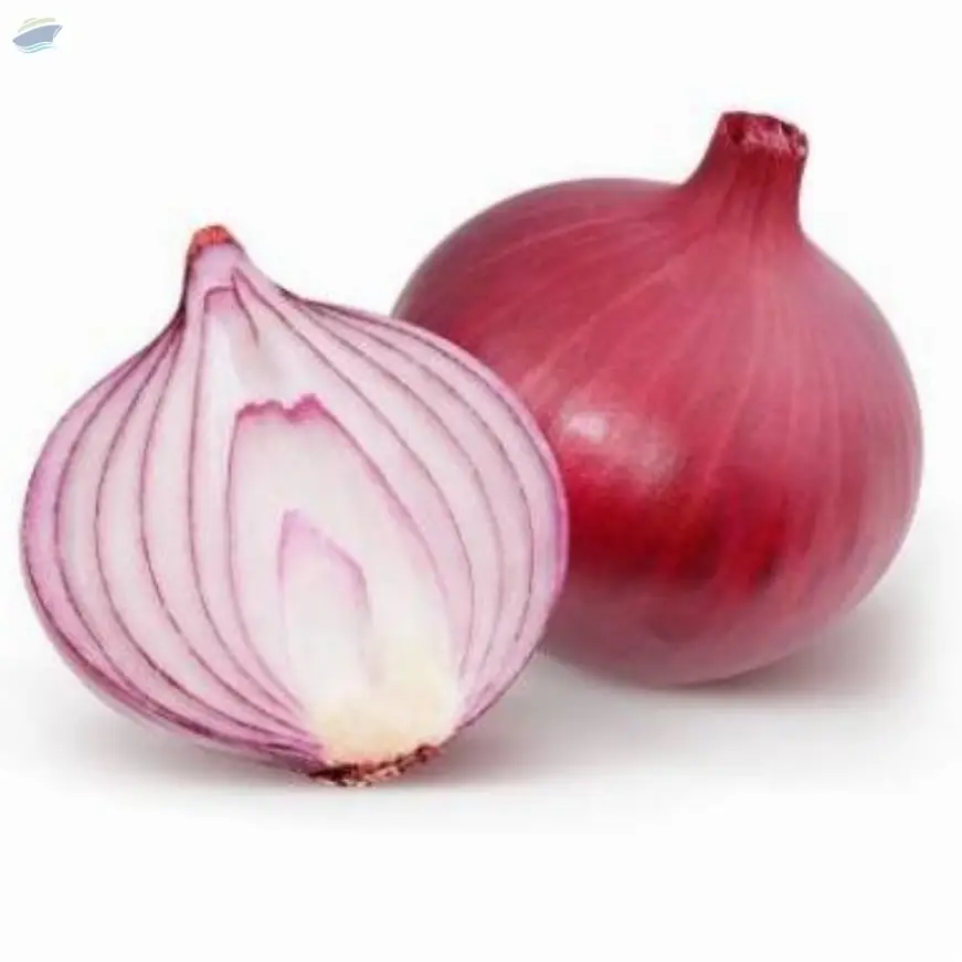 Onion