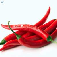 Chili
