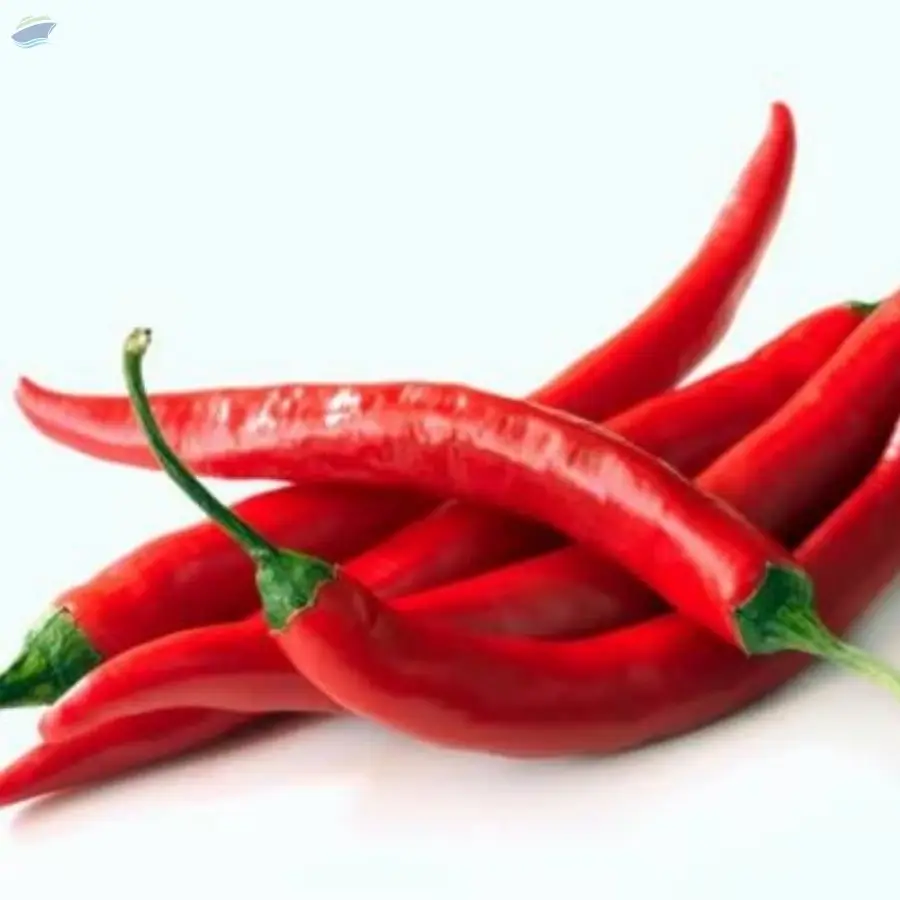 Chili
