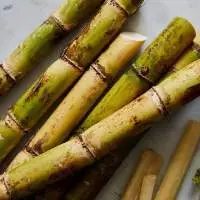 Sugarcane