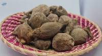 Ethiopian Black Cardamom