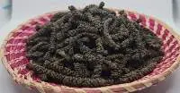 Long Pepper
