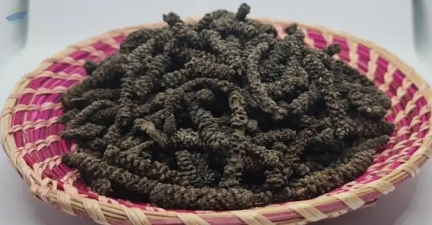 Long Pepper