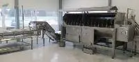 Potato cleaning machine
