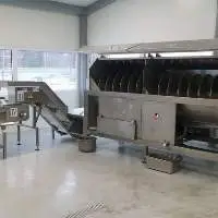 Vegetable Cleaning Equipment Inspection Table