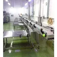 Cucumber Packing Line