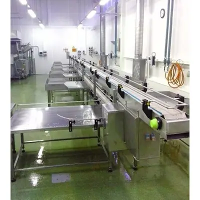 Cucumber Packing Line