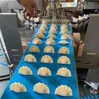 Dumpling Machine ZK-3-SJ