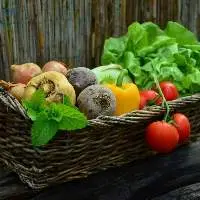Fresh Vegetables
