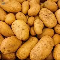 Potato