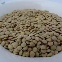 lentils