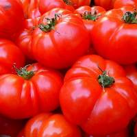 Tomato