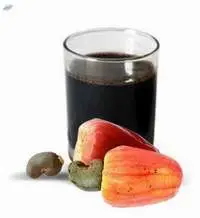 Cashew Nut Shell Liquid