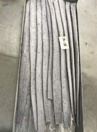 Ribbon Fish
