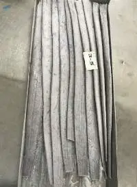 Ribbon Fish