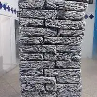 Frozen Fish