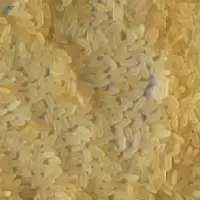 Rice ( IR-65 , IR-8 , Raw Rice)