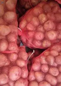 Vegatables