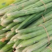 Vegetable Drumsticks