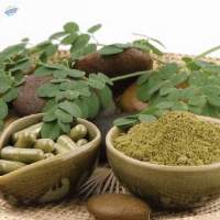 Herbal Extracts