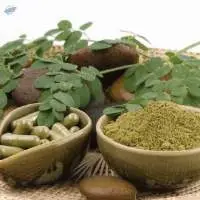 Herbal Extracts