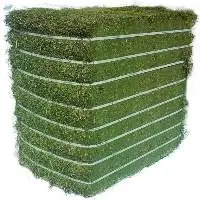 Alfalfa/Timothy hay Hay for Animal Feeding