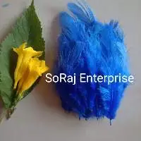 Natural Small Feathers Ink Blue